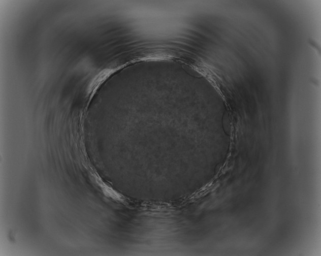 X0000093480337200710121450