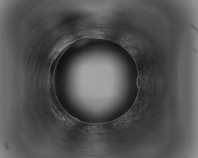 X0000093480338200710121450