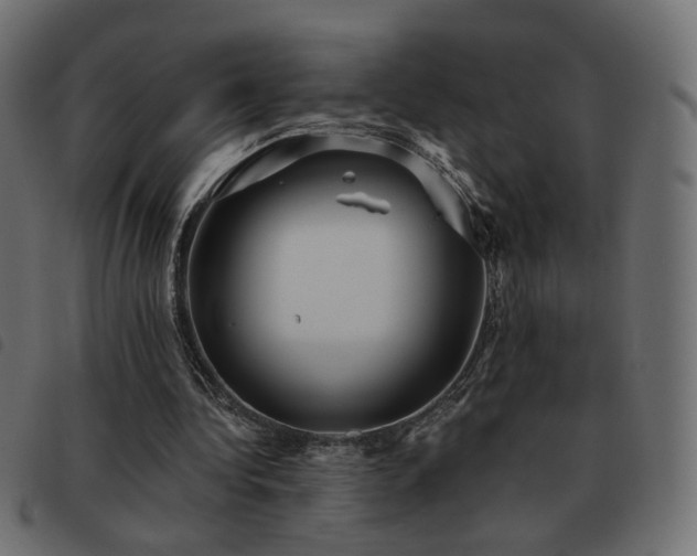 X0000093480340200710121450