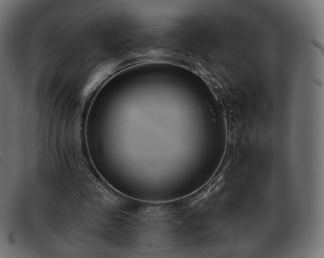 X0000093480341200710121450