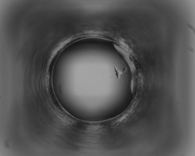X0000093480342200710121450
