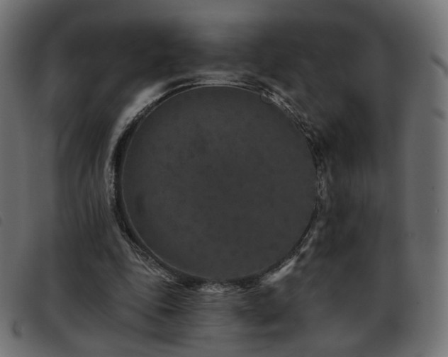 X0000093480343200710121450