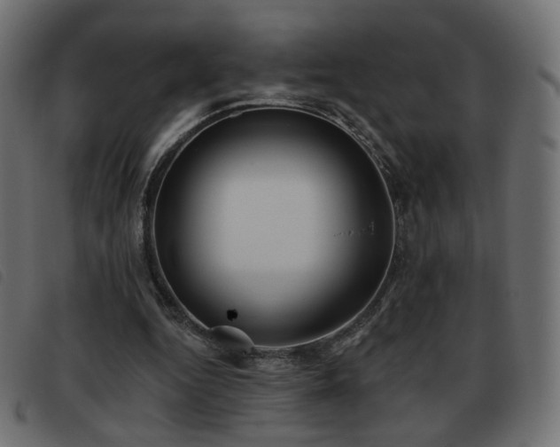 X0000093480344200710121450