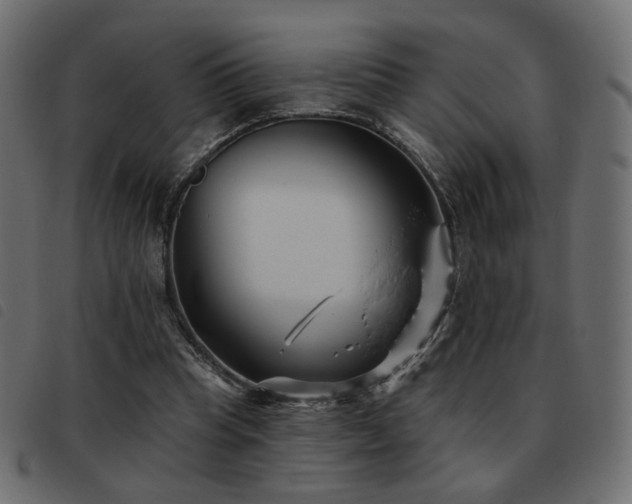X0000093480345200710121450