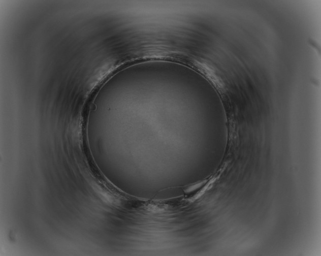 X0000093480346200710121450