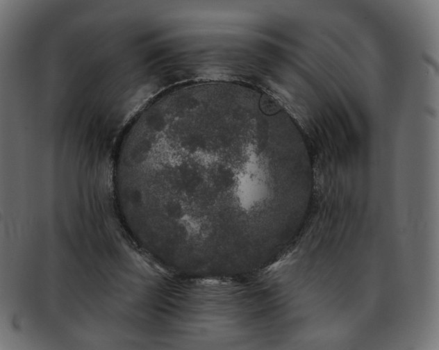 X0000093480347200710121450