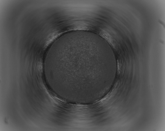 X0000093480348200710121450