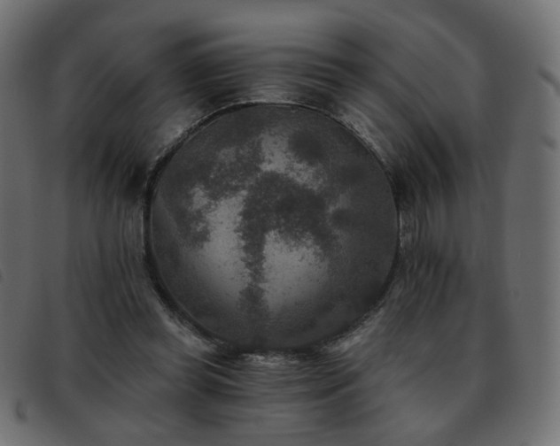X0000093480349200710121450