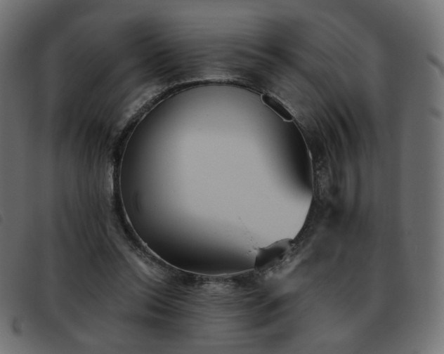 X0000093480350200710121450