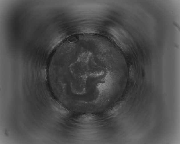 X0000093480351200710121450