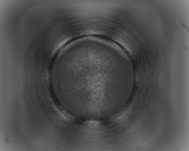 X0000093480352200710121450