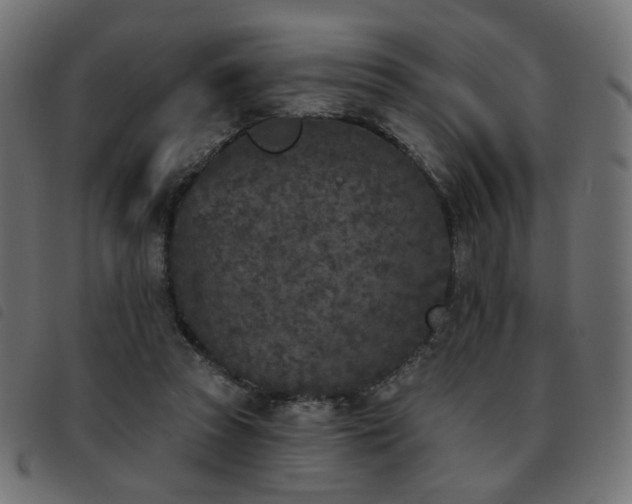 X0000093480353200710121450