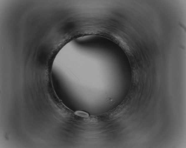 X0000093480354200710121450