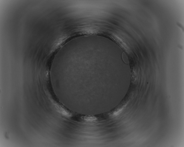 X0000093480355200710121450