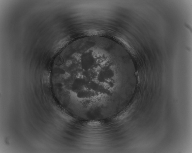 X0000093480357200710121450