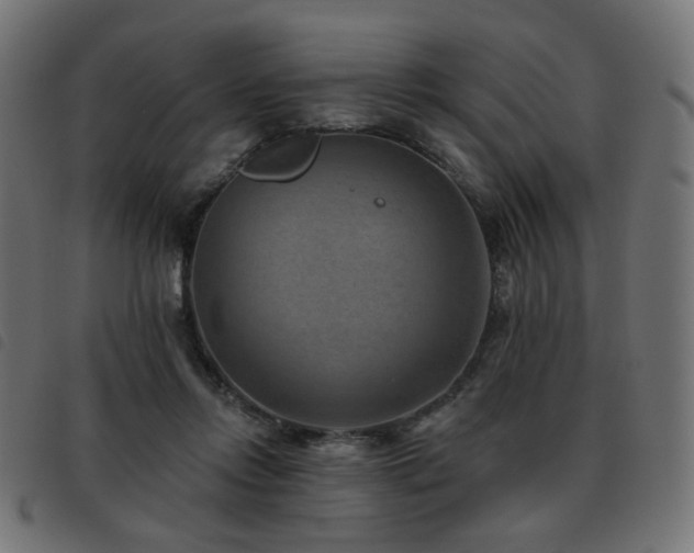 X0000093480358200710121450