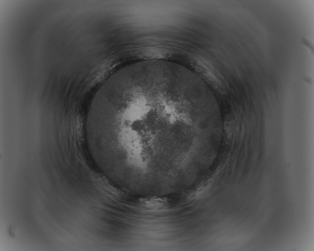X0000093480359200710121450