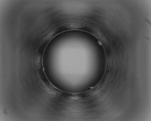 X0000093480360200710121450