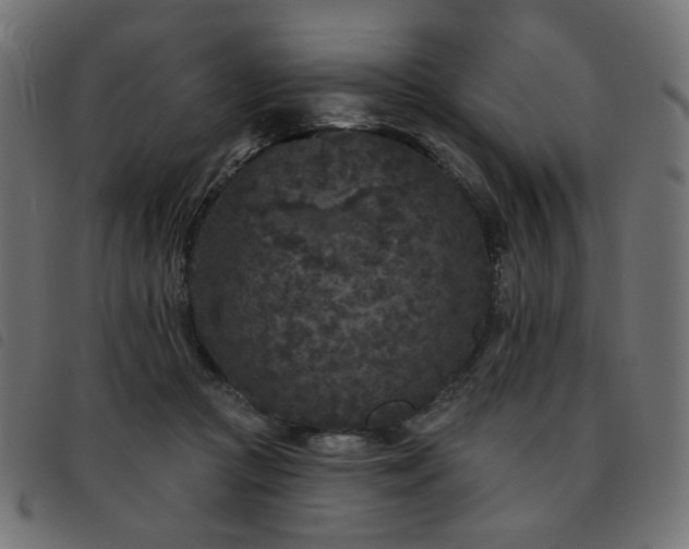 X0000093480361200710121450