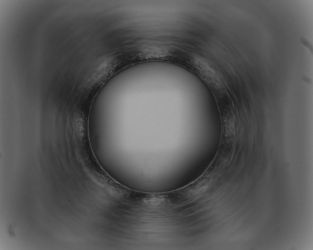 X0000093480362200710121450