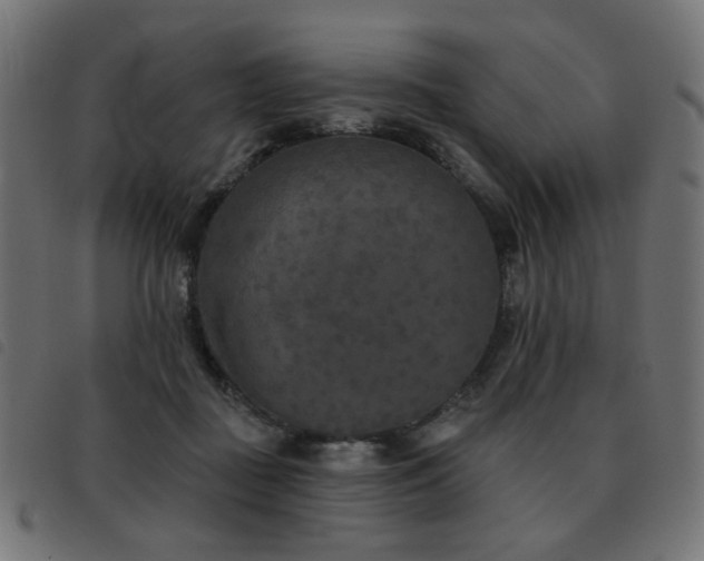 X0000093480363200710121450