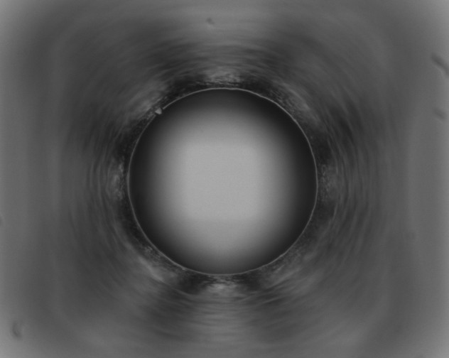 X0000093480364200710121450