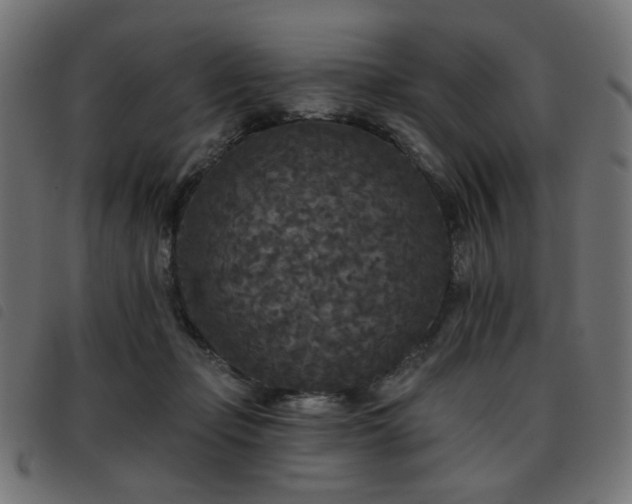 X0000093480365200710121450