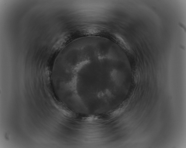 X0000093480366200710121450