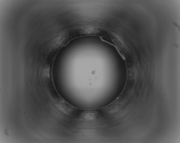 X0000093480368200710121450