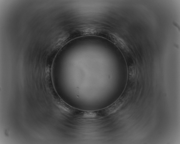 X0000093480369200710121450
