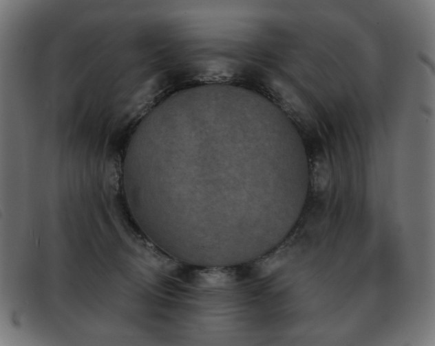 X0000093480370200710121450