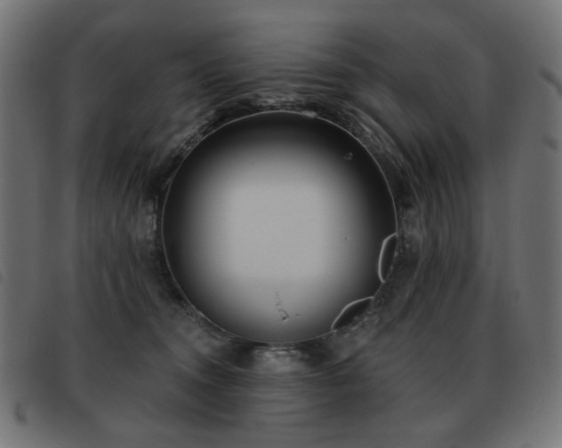X0000093480372200710121451