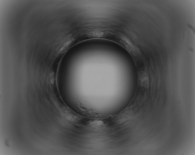 X0000093480374200710121451