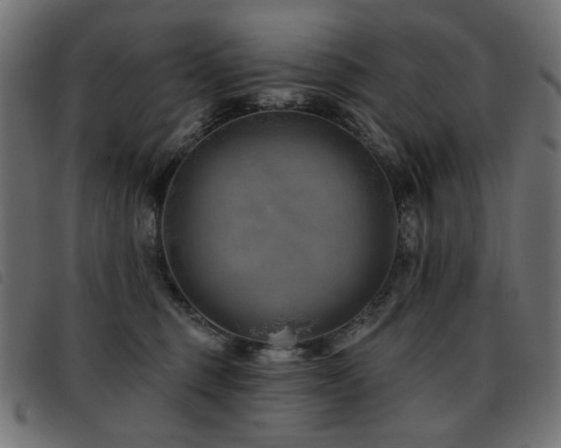 X0000093480375200710121451