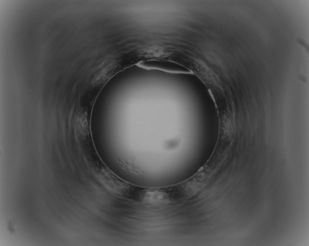 X0000093480376200710121451