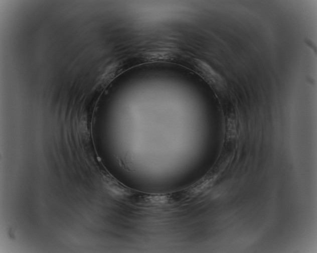 X0000093480377200710121451