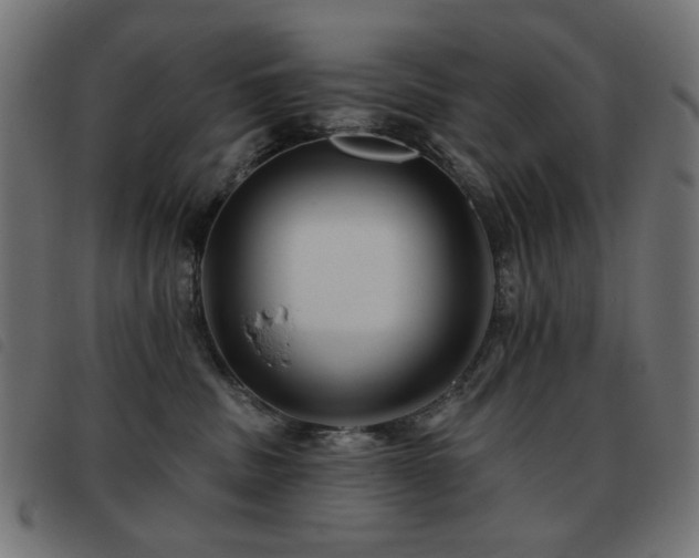 X0000093480379200710121451