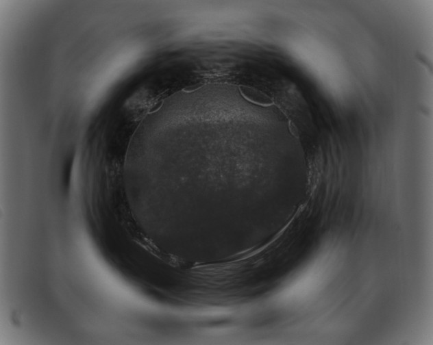 X0000093480383200710121451