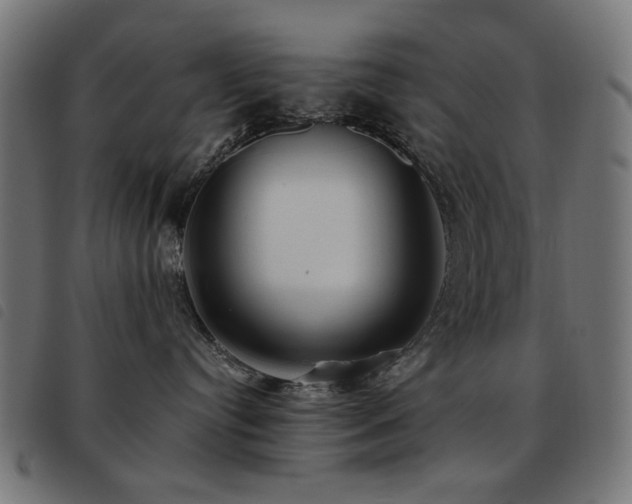 X0000093480384200710121451