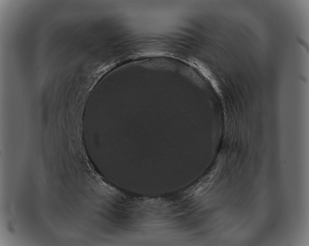 X0000093480385200710121450