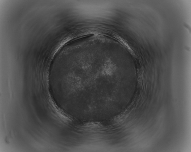 X0000093480386200710121450