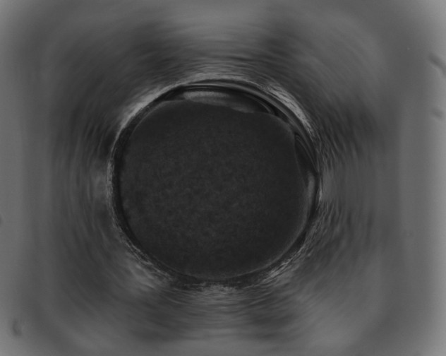 X0000093480387200710121450