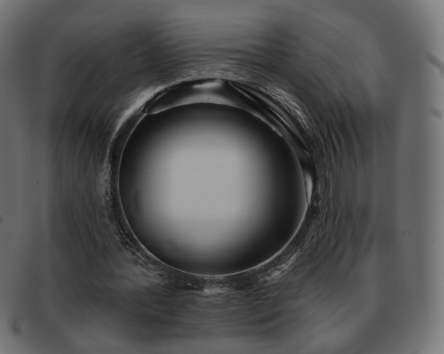 X0000093480388200710121450