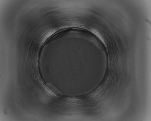 X0000093480389200710121450