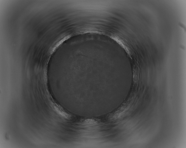 X0000093480390200710121450