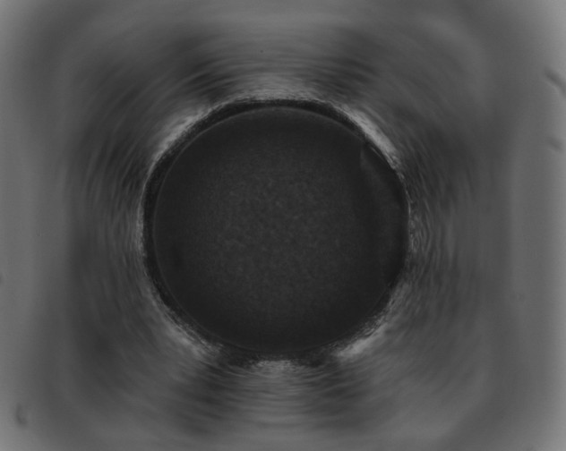 X0000093480391200710121450