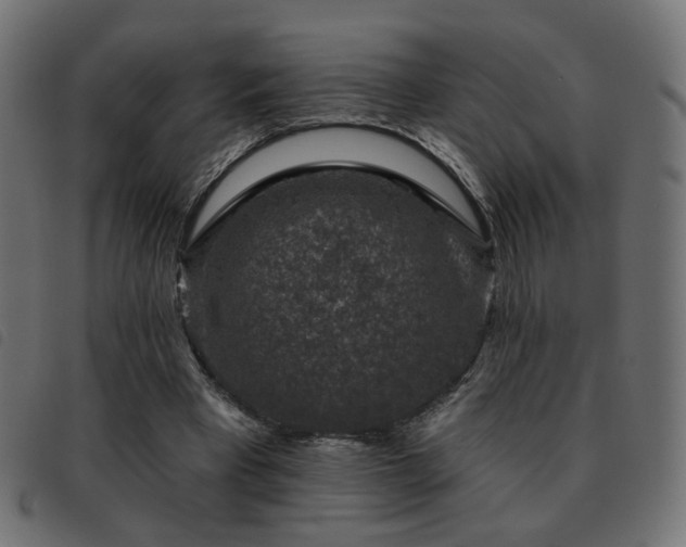X0000093480393200710121450