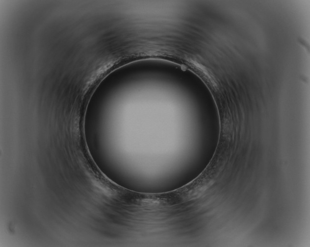 X0000093480394200710121450