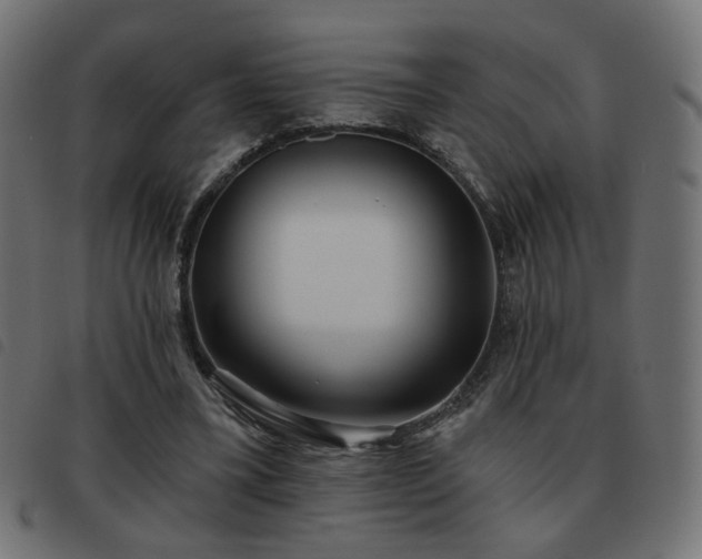 X0000093480395200710121450