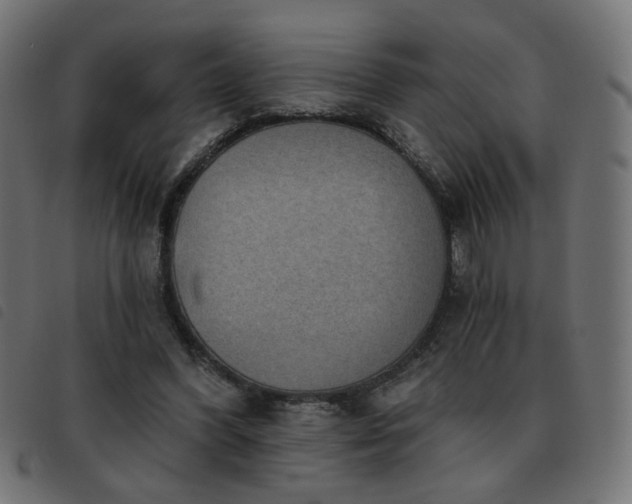 X0000093480396200710121450